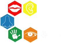 Logo Cinsens Escape Game