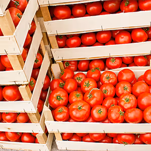 Wooden crates filled with fresh, ripe red tomatoes stacked together.