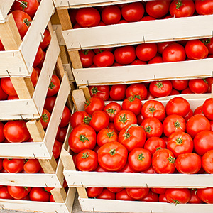 Wooden crates filled with fresh, ripe red tomatoes stacked together.