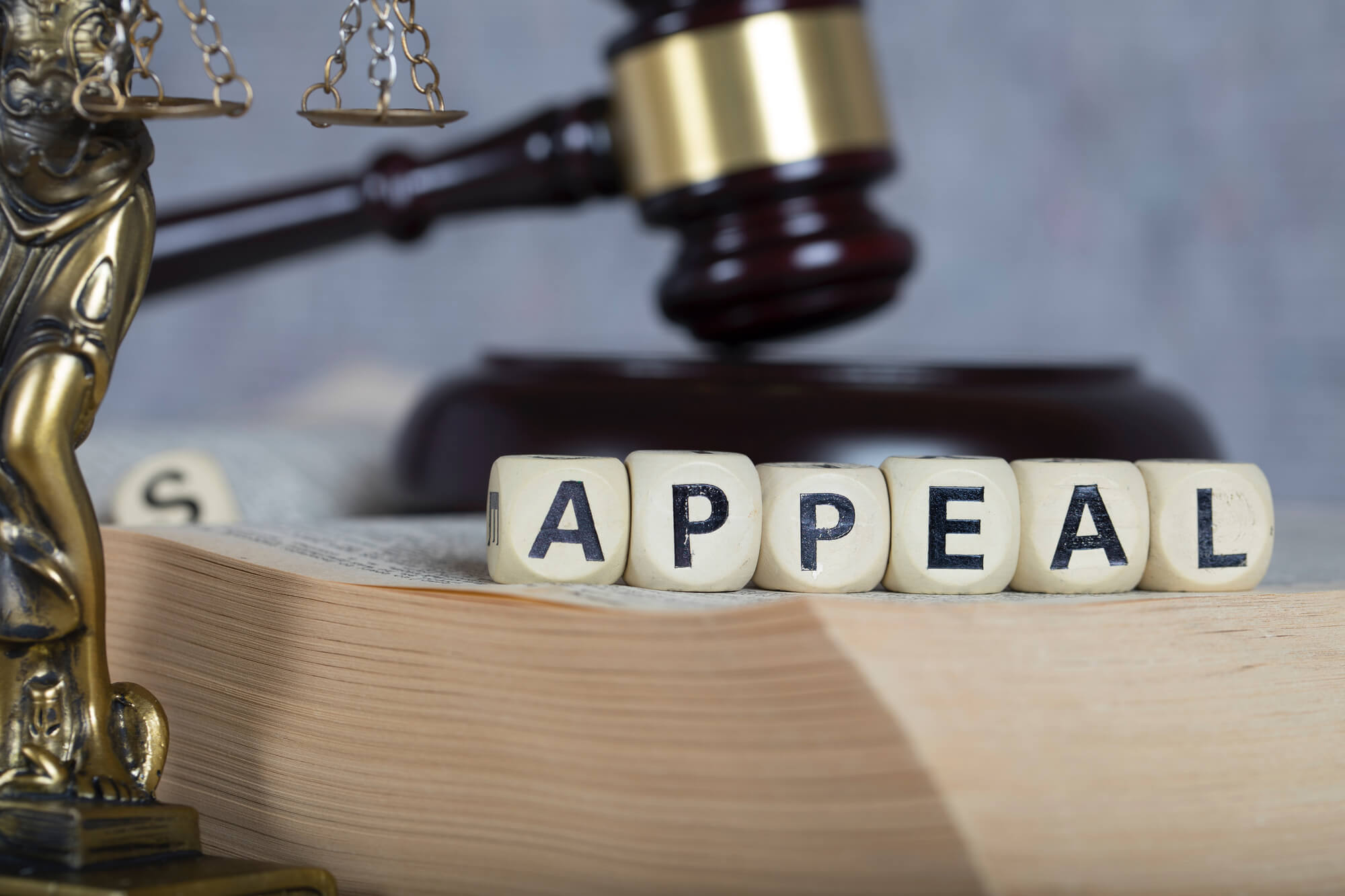 the words appeal next to lady justice