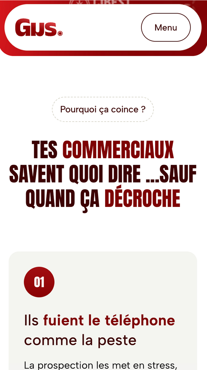 Landing page Augustin Tonnel webflow on smartphone 02