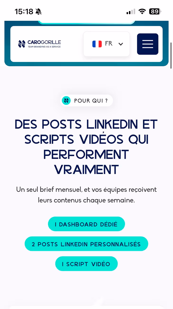 Visuel du site Carogorille sur Smartphone 02