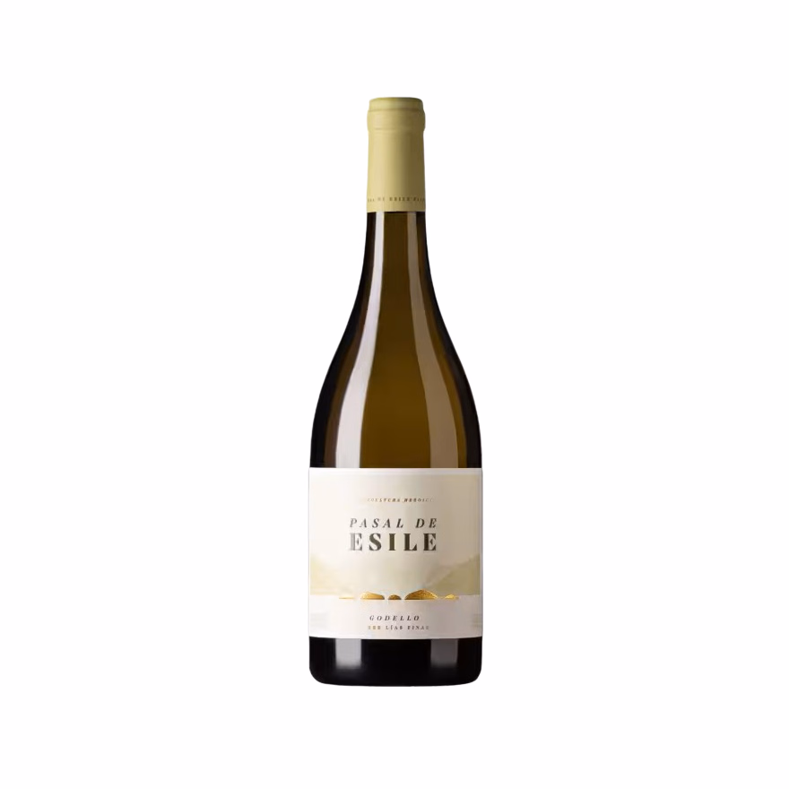 2024 Bodegas Gallegas Pasal de Esile Godello Ribeira Sacra