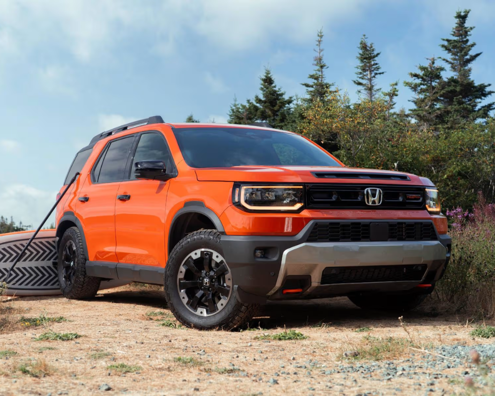 Which Honda Are You?