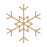 Brown geometric snowflake with symmetrical angular branches