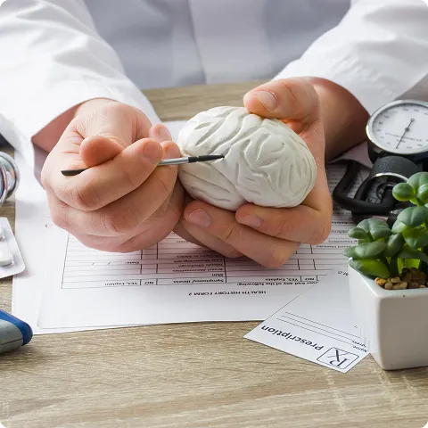 SmartCare Rx Pharmacy doctor holding a model of the human brain and pointing with a metal tool during a patient education session, emphasizing neurological health awareness