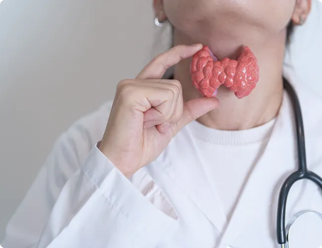 SmartCare Rx Pharmacy medical professional holding an anatomical thyroid gland model next to their neck, illustrating expert endocrine and thyroid care
