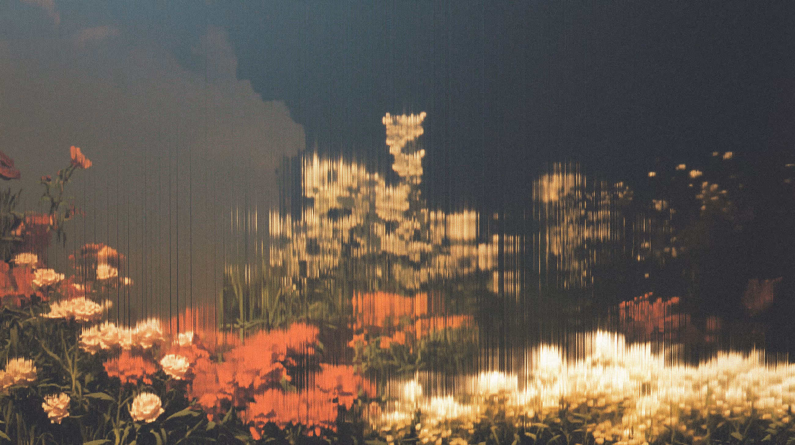 A dreamy image of red, white, and cream flowers with a mild streaky distortion affect applied.