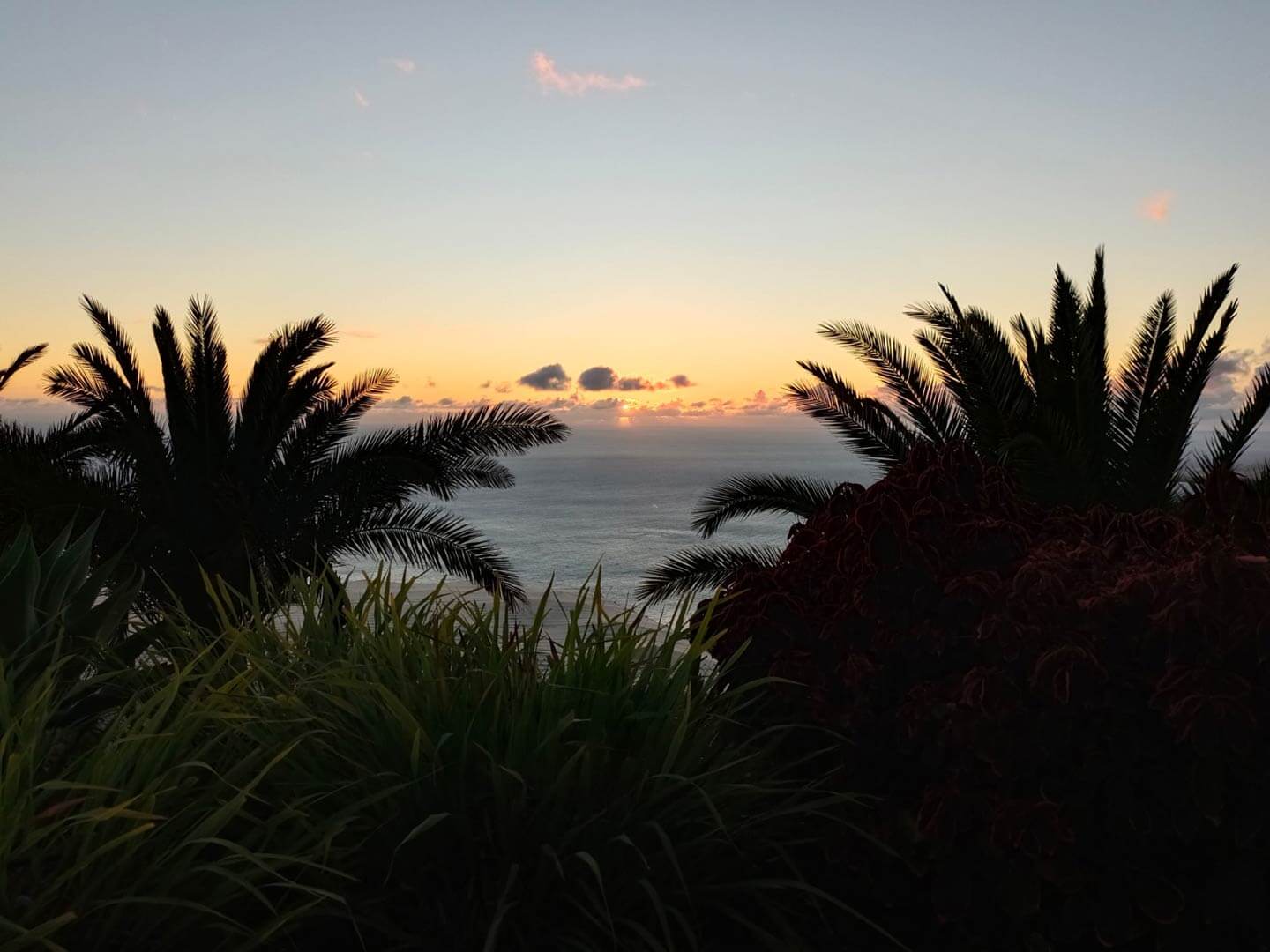 Palmen vor dem Meer mit Sonnenuntergang auf der Insel La Palma
