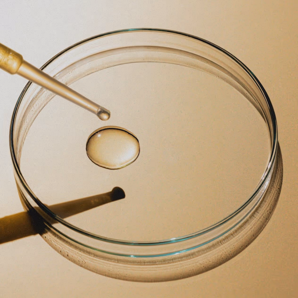 A glass dropper releases liquid onto a clear petri dish sitting on a gold-colored surface. The liquid, compounded in the USA, forms a single large drop in the center of the dish.