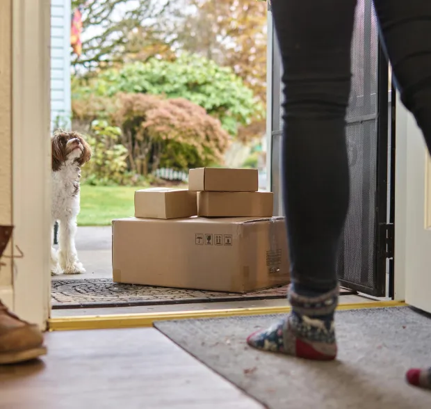 Dog waiting at doorway with stacked cardboard delivery boxes outside