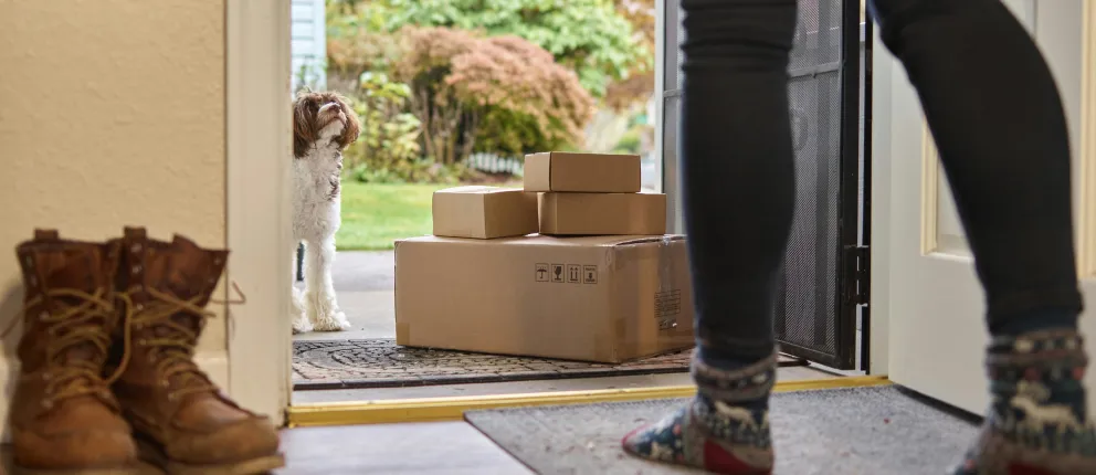 Dog waiting at open door with cardboard boxes and person in colorful socks nearby