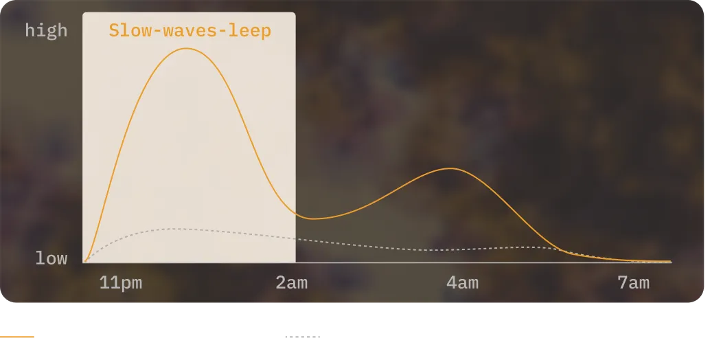 Graph showing slow-wave sleep pattern from 11pm to 7am with high and low indicators