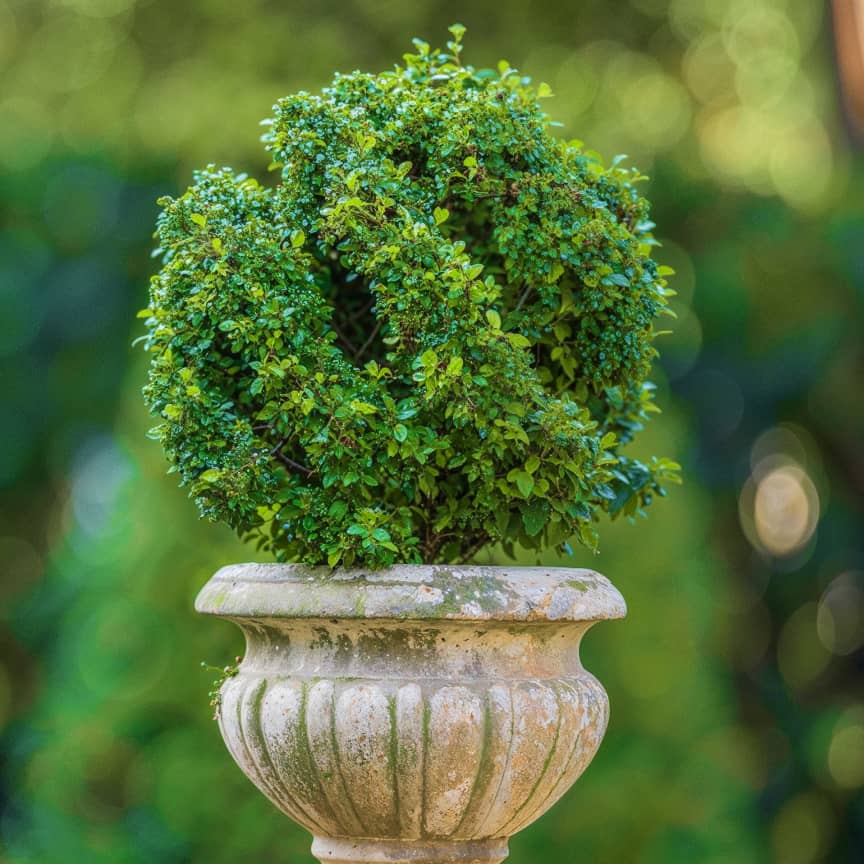 Gallery Image - Landscaping X Webflow Template