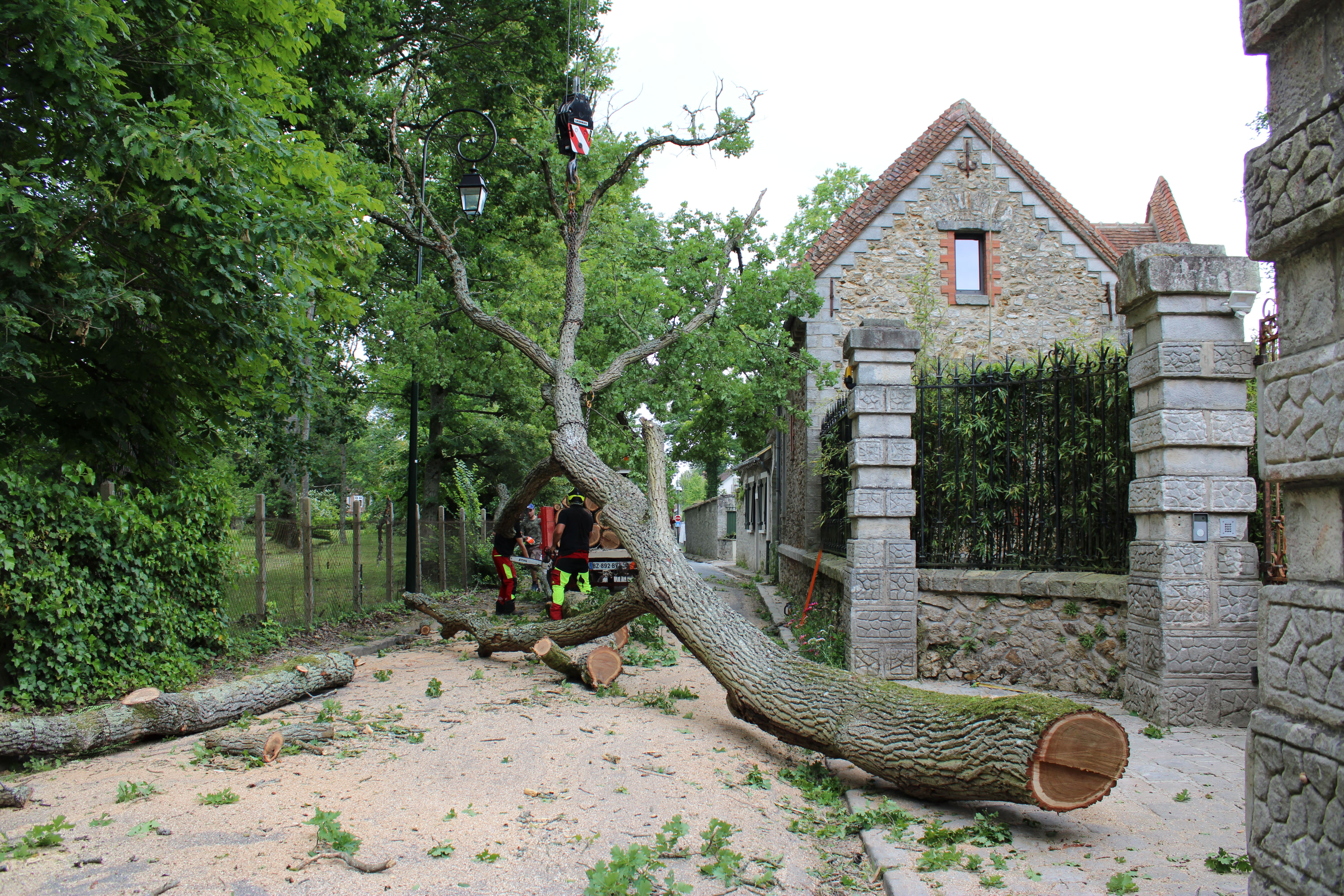 Élagage et abattage