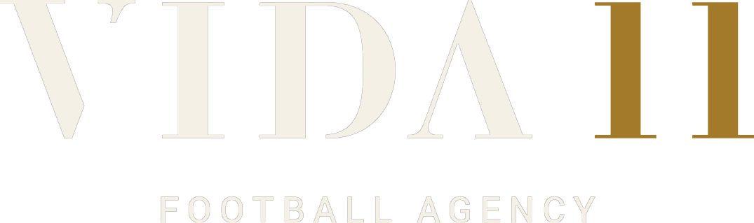 VIDA11 Logo