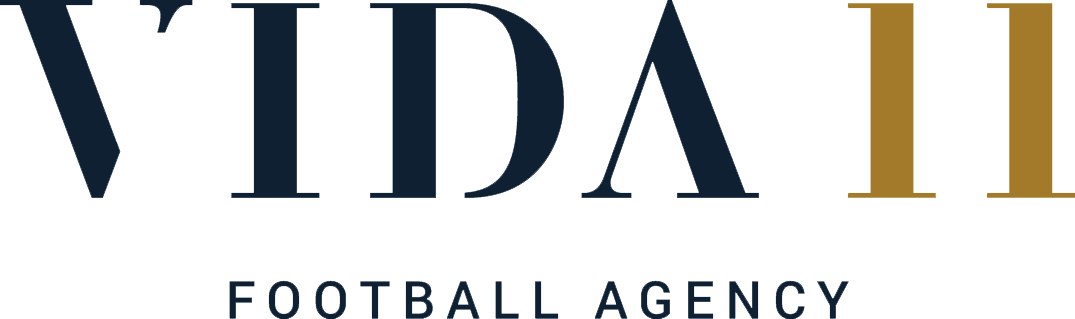 VIDA11 Logo