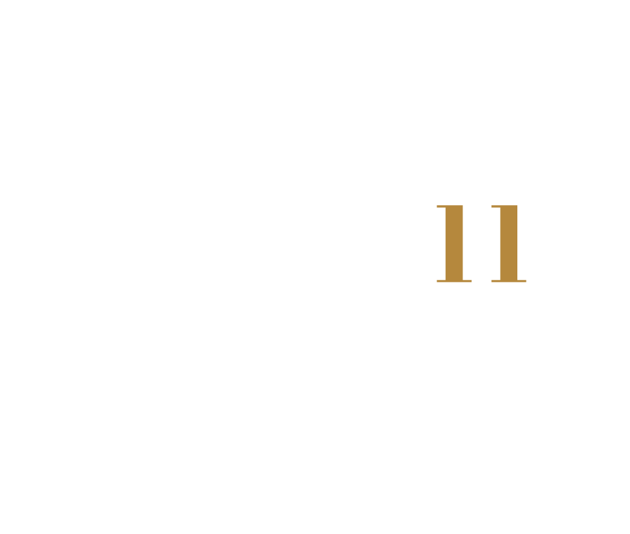 VIDA 11 Logo negative