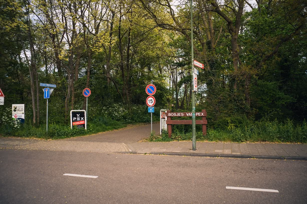 Forest path or playground in the Bosjes van Pex The Hague, 24-hectare dune park near the Vruchtenbuurt