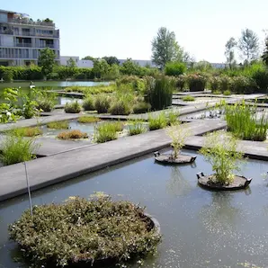 Jardin botanique avec plan d'eau et plantes dans le jardin public de Bordeaux
