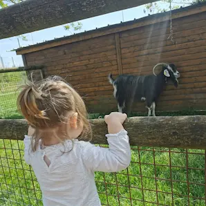 bébé en poussette dans la ferme pédagogique des Iris à Lormont
