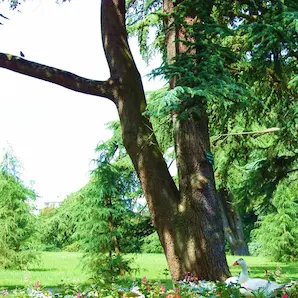 parc Bordelais pour une sortie avec des enfants à l’ombre