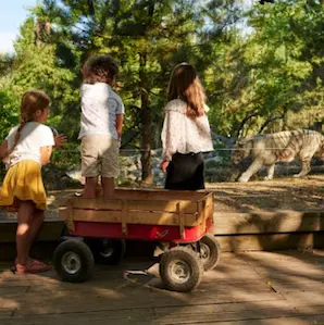 sortie au Zoo de Pessac avec un enfant de 2 à 3 ans