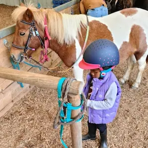 sortie à poney en famille au Poney Lormontais pendant l’automne