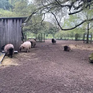 animaux du Parc Bordelais à découvrir avec des enfants
