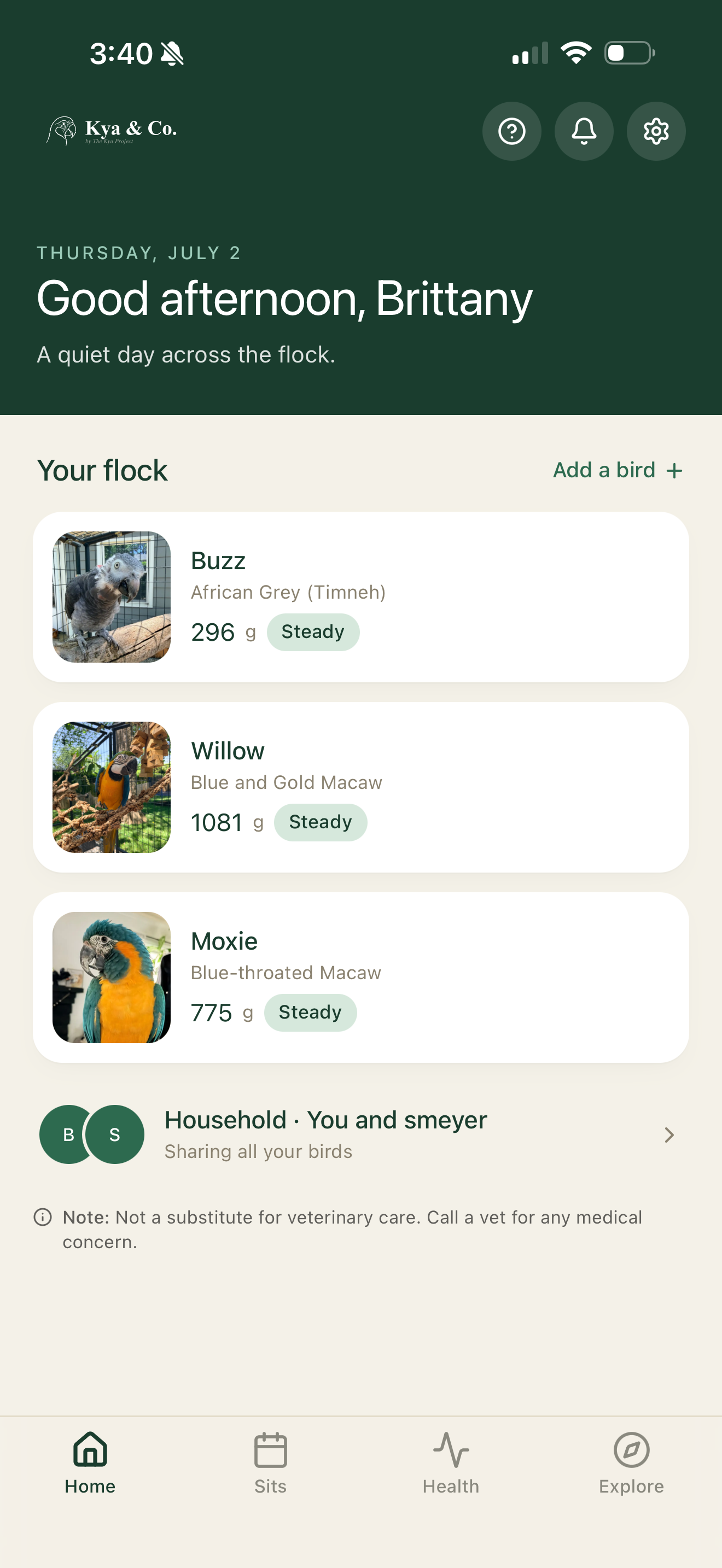 The Kya & Co. home screen showing a flock of three parrots with their latest weights