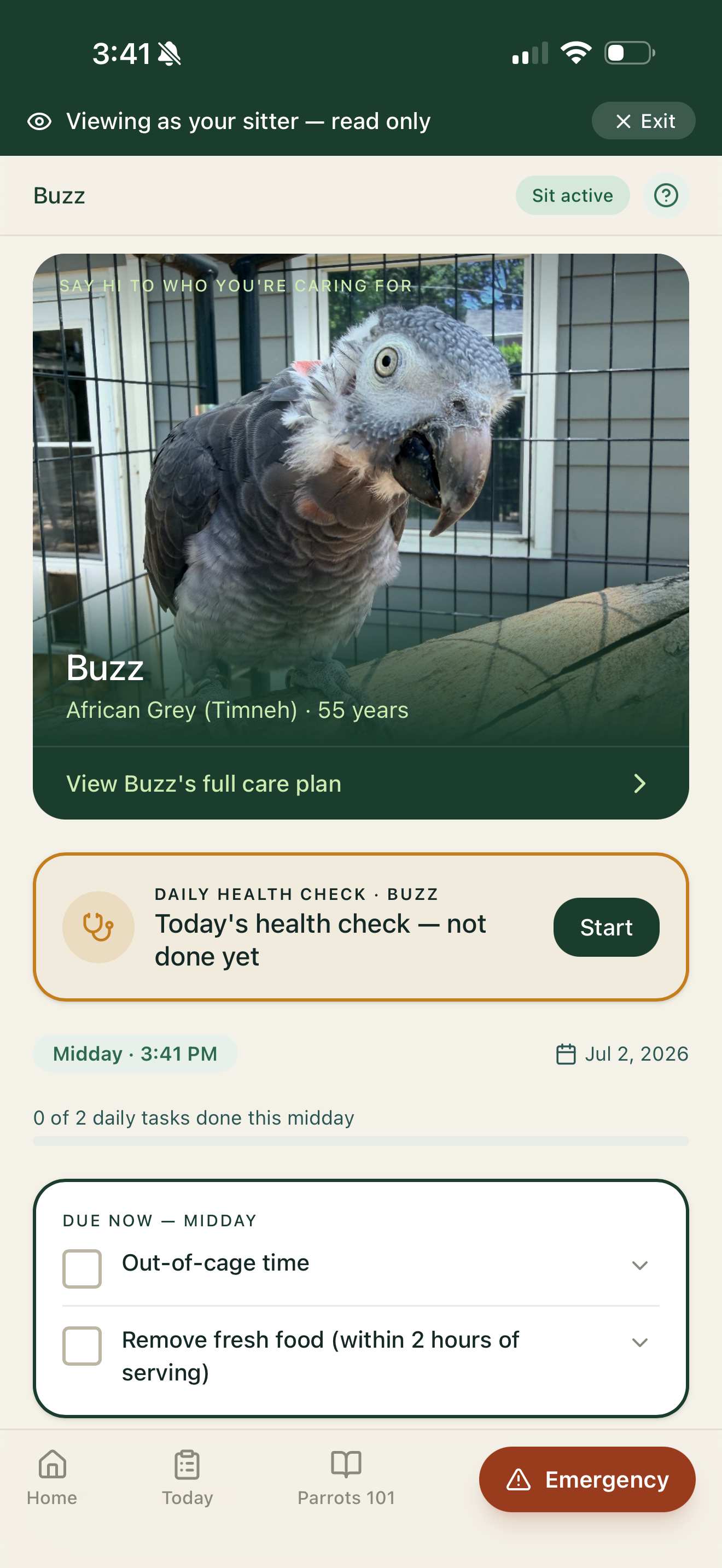 The sitter's read-only view of Buzz, an African Grey, showing the daily checklist and care plan