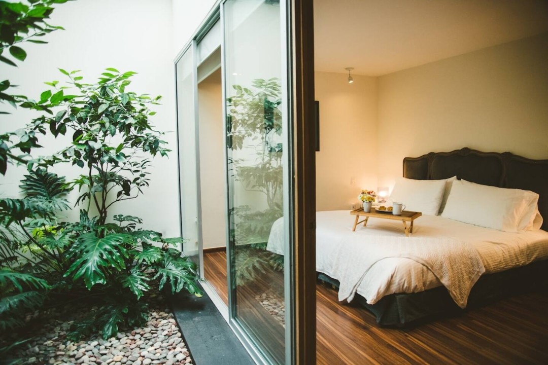 Polanco one-floor house with garden — Polanco, CDMX
