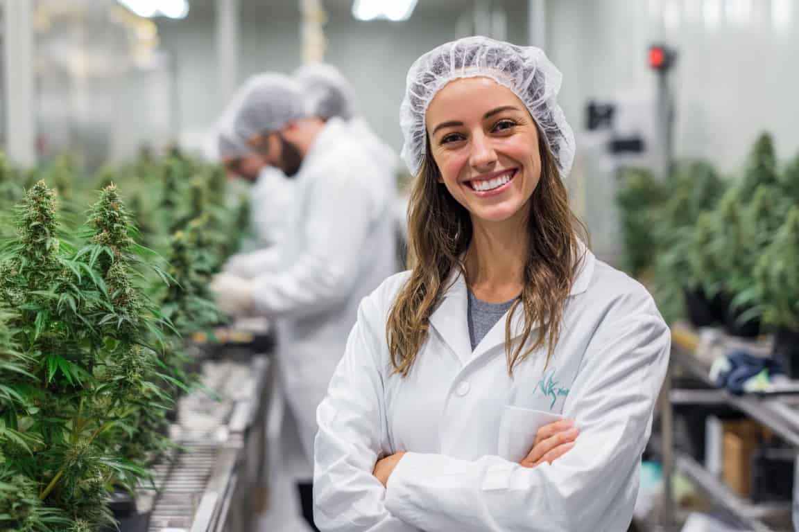 IT services for the cannabis industry that scale with your ambition. Alcott Enterprises - IT innovation starts here.