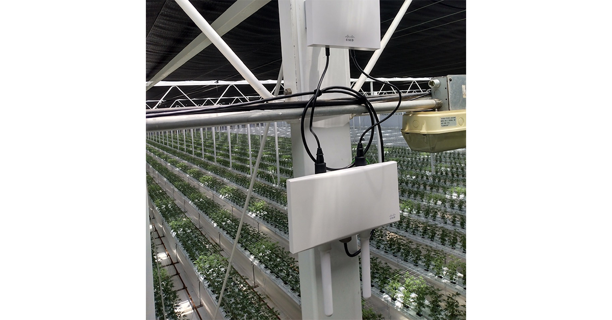 Alcott Enterprises Infrastructure Glass House Brands 165-acre Cultivation