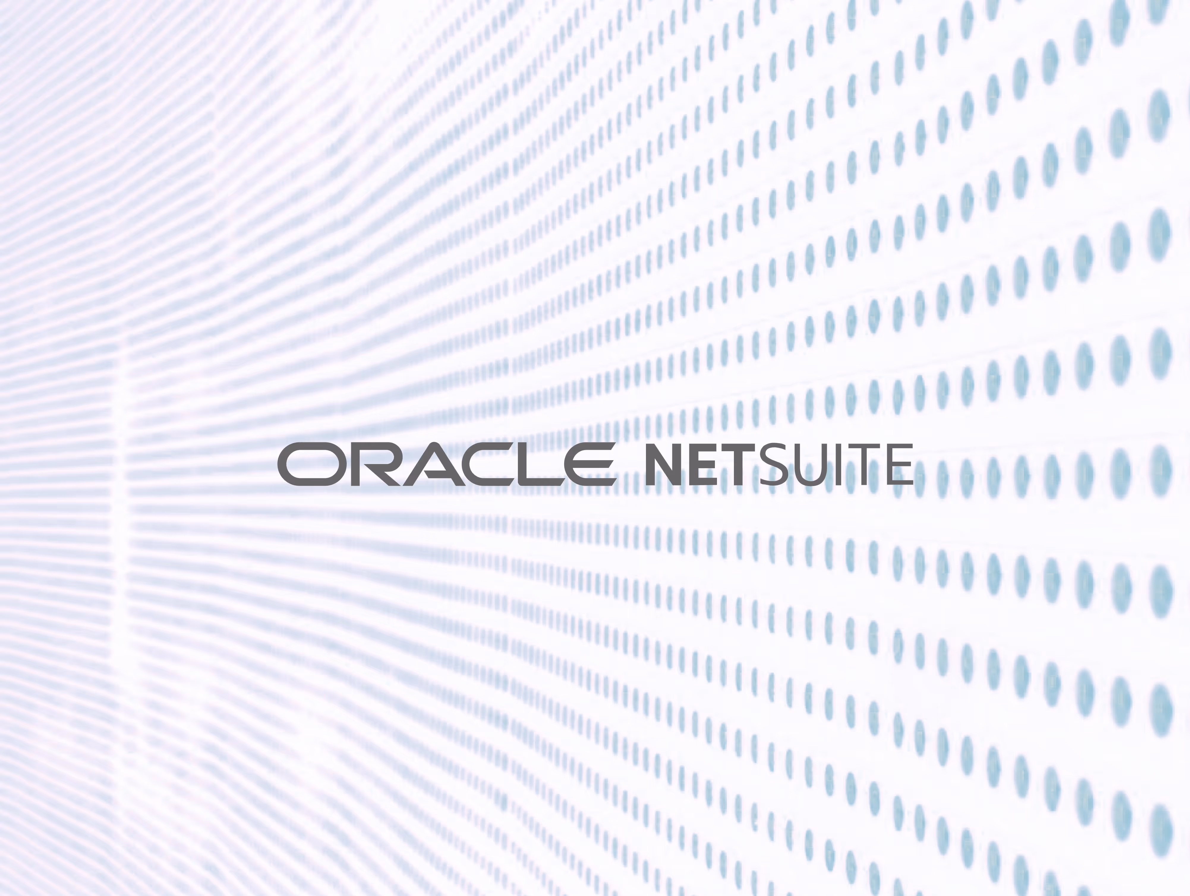 Team members working on a Netsuite Consultation