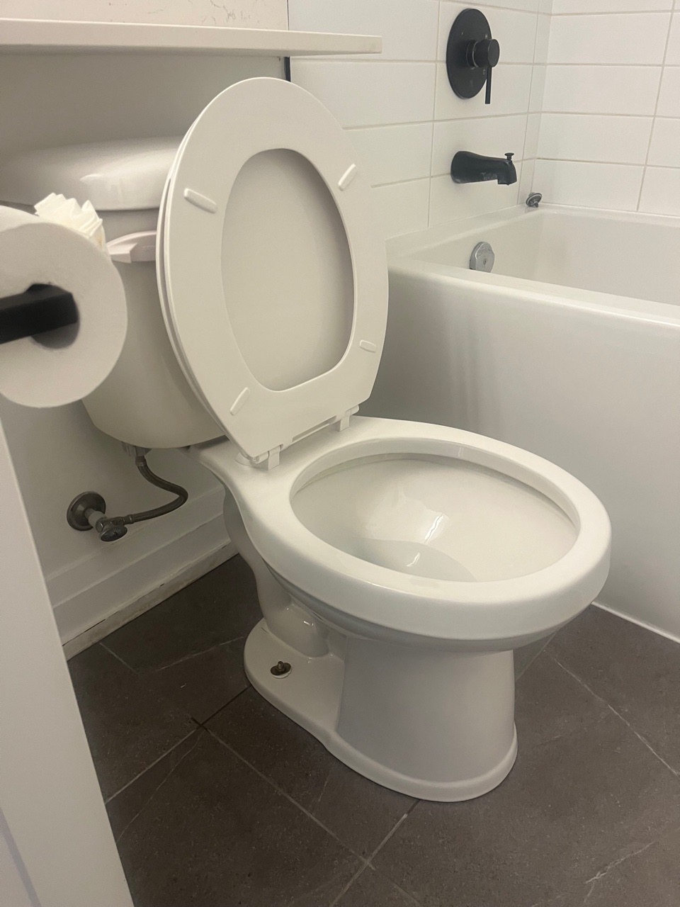 Toilet Cleaning After