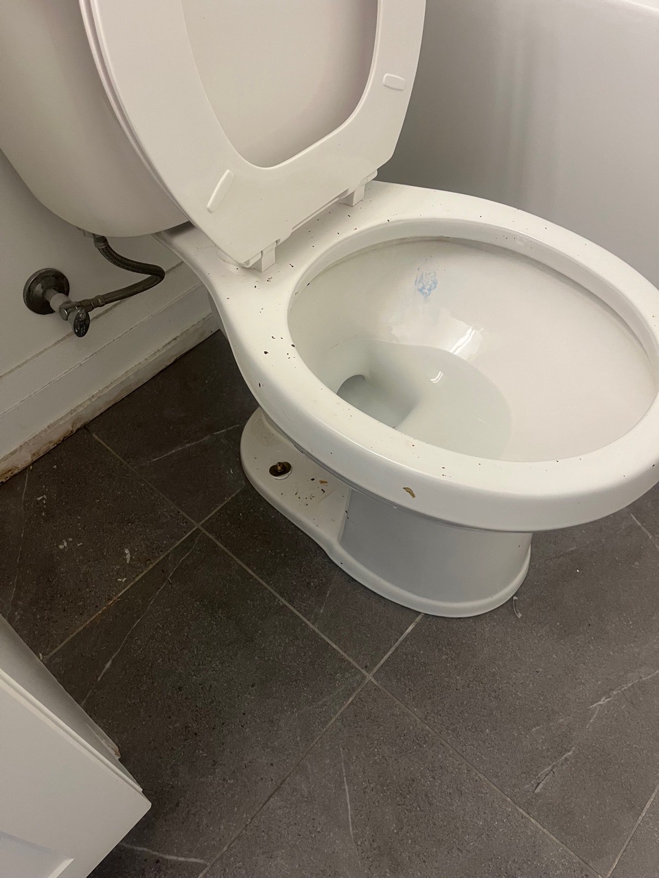 Toilet Cleaning Before
