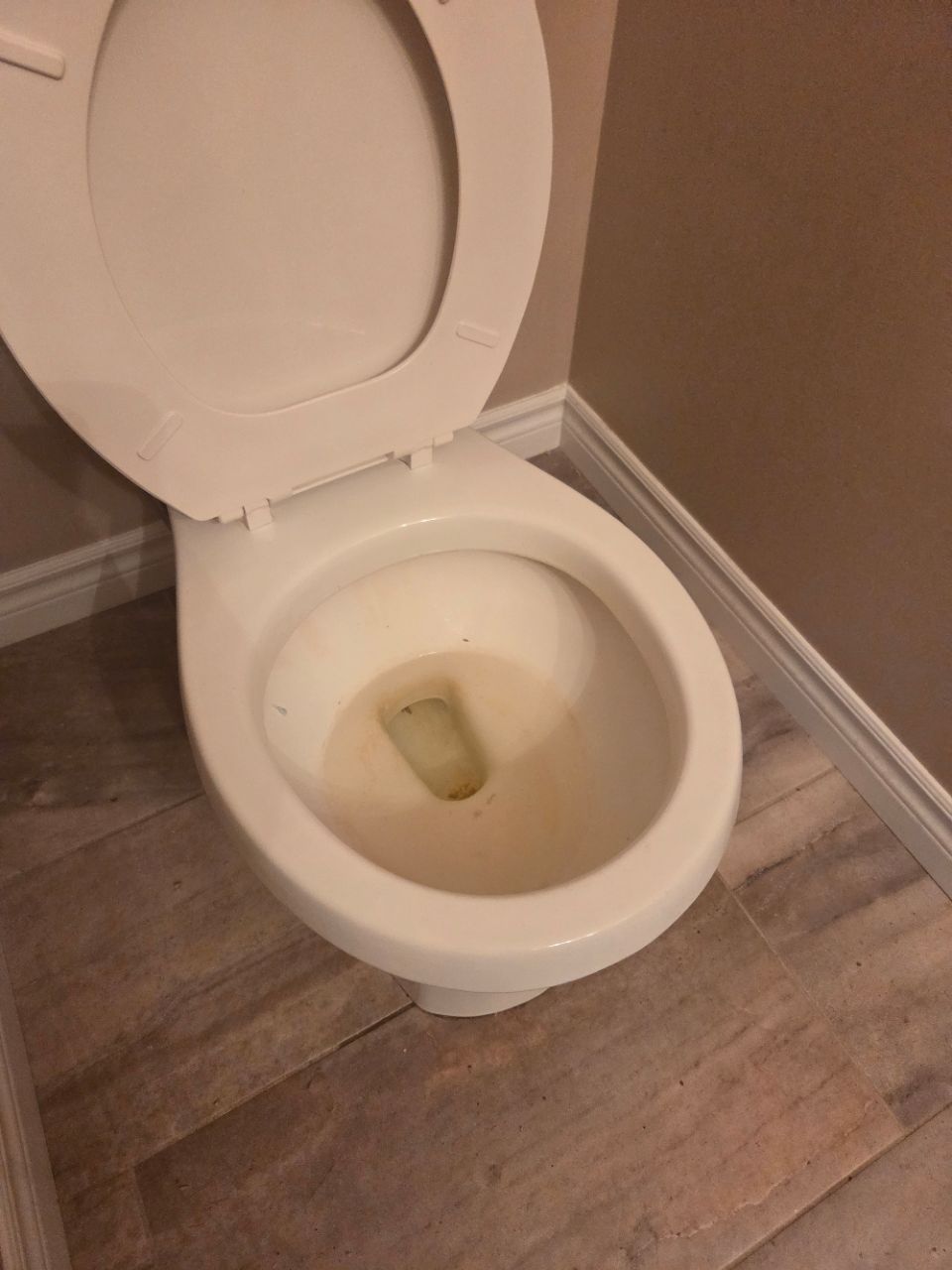 Toilet Cleaning Before