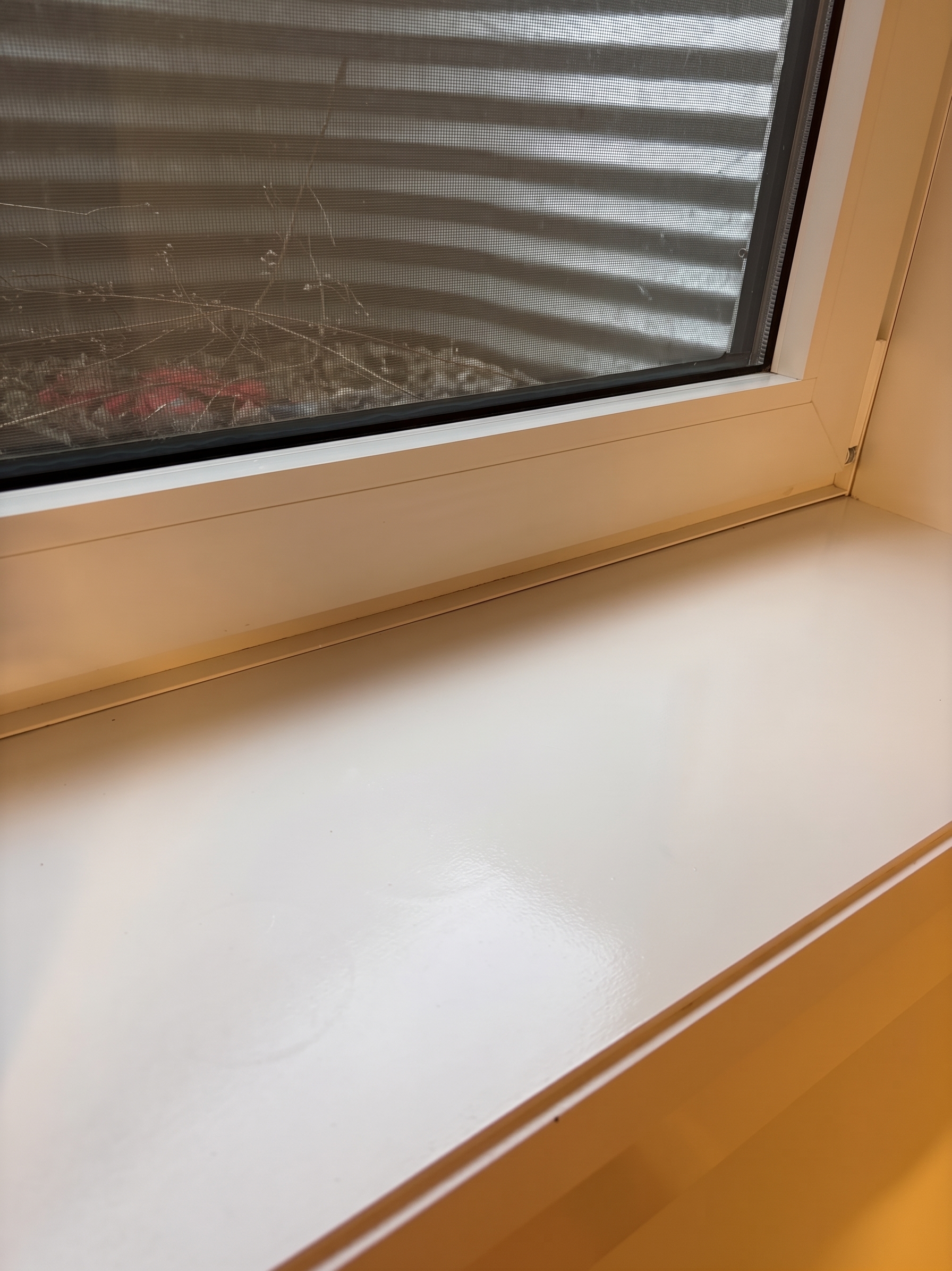 Window Ledge Cleaning After