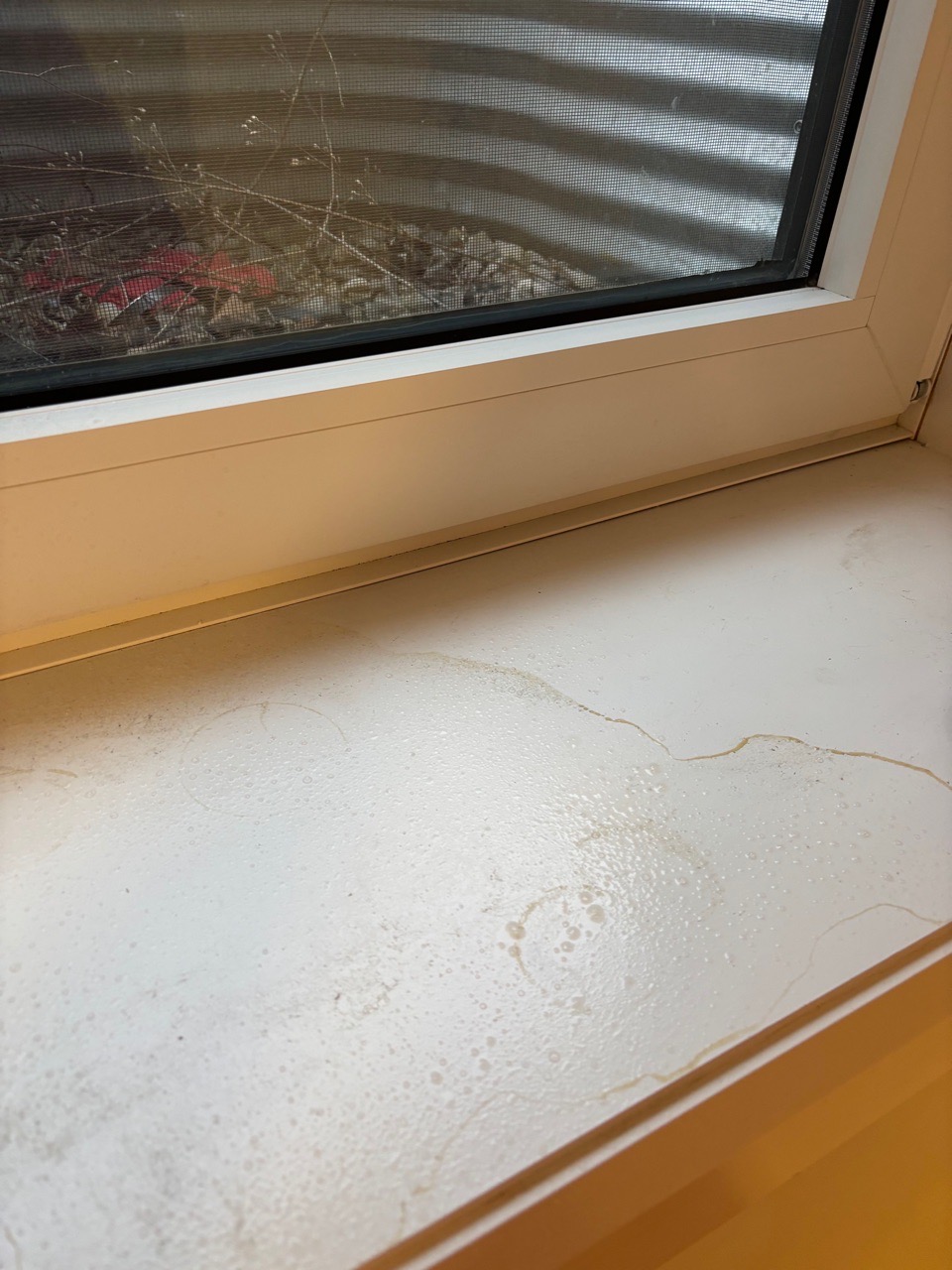 Window Ledge Cleaning Before