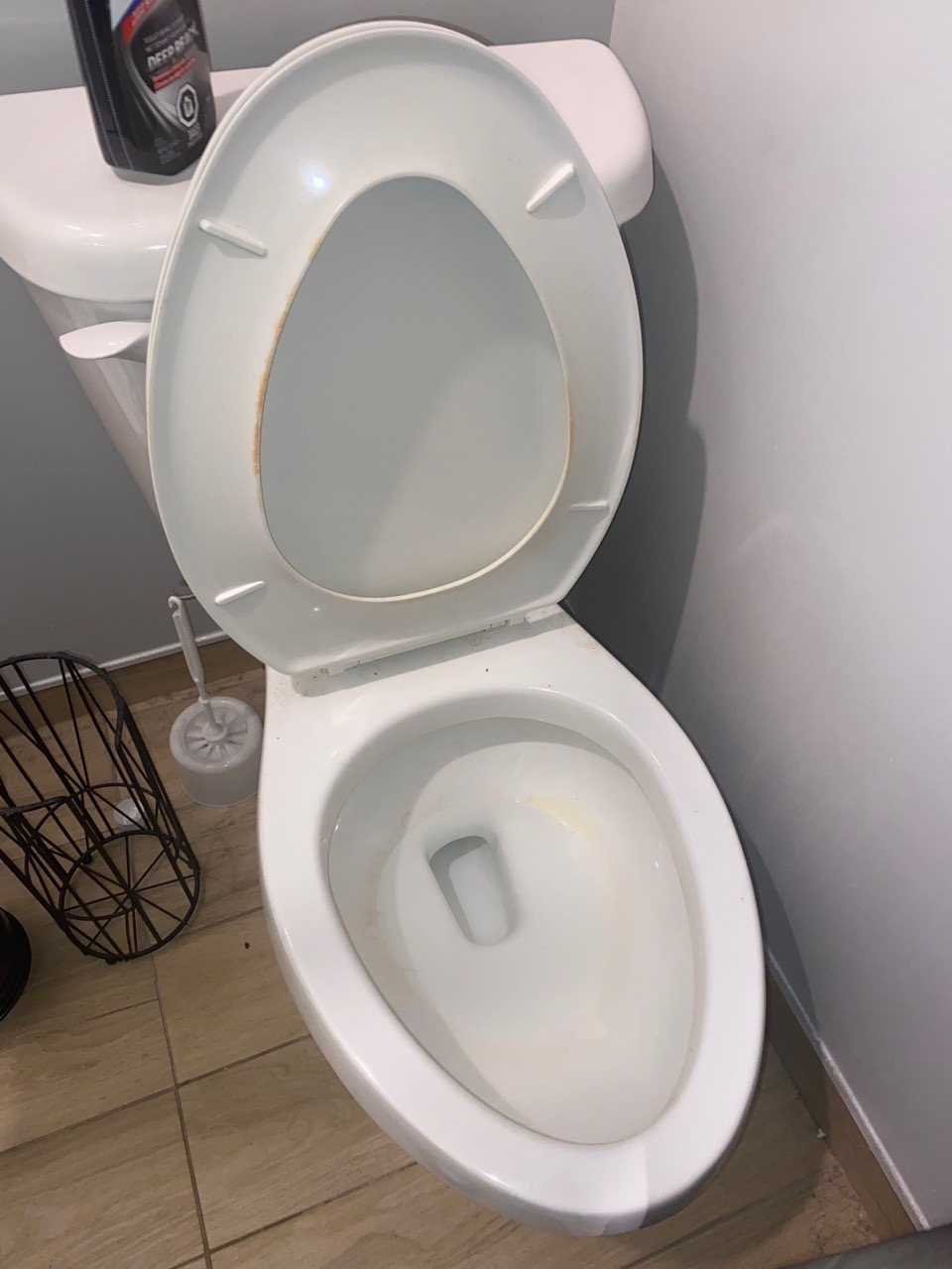 Before photo of inside of toilet cleaning
