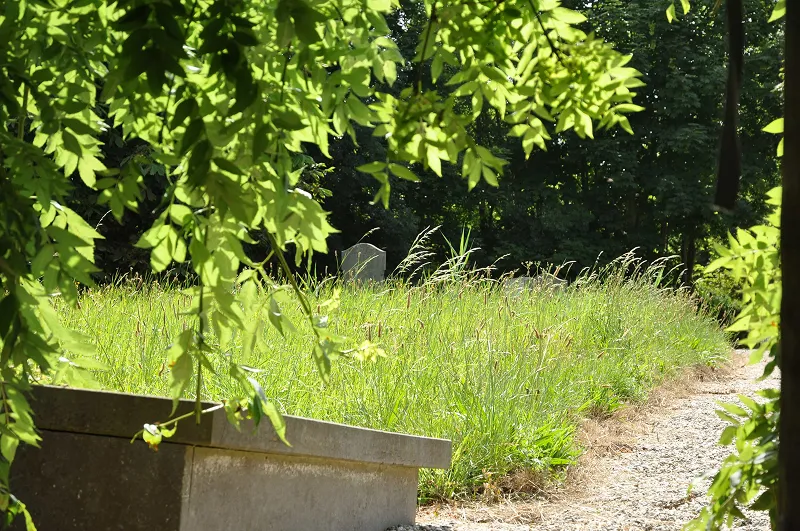 Begraafplaats Begrafenisverzorging Dorst
