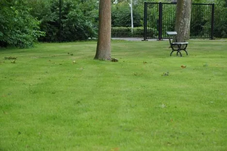 Begraafplaats Begrafenisverzorging Dorst