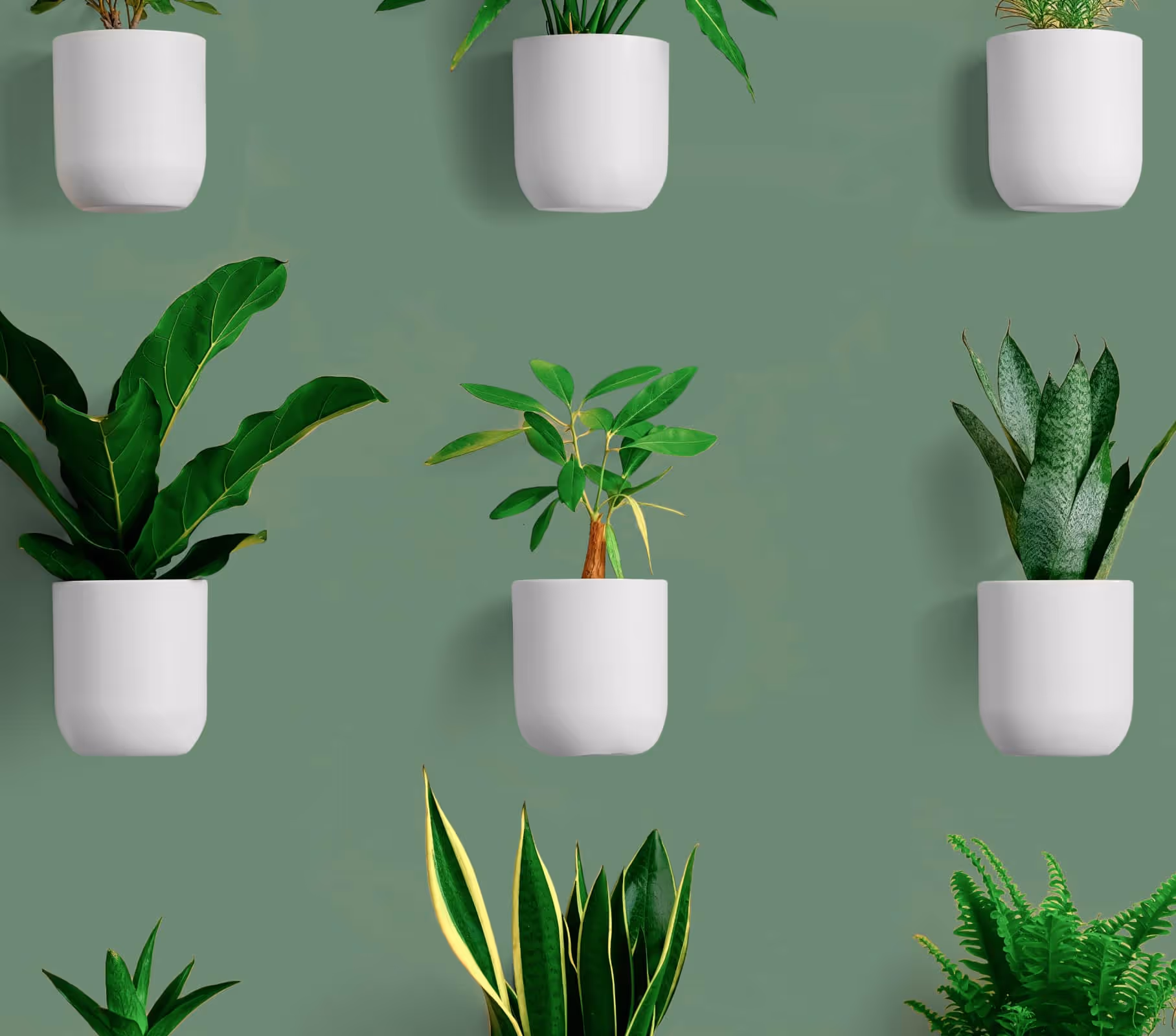 Plants Gallery Image 07 - Store X Webflow Template