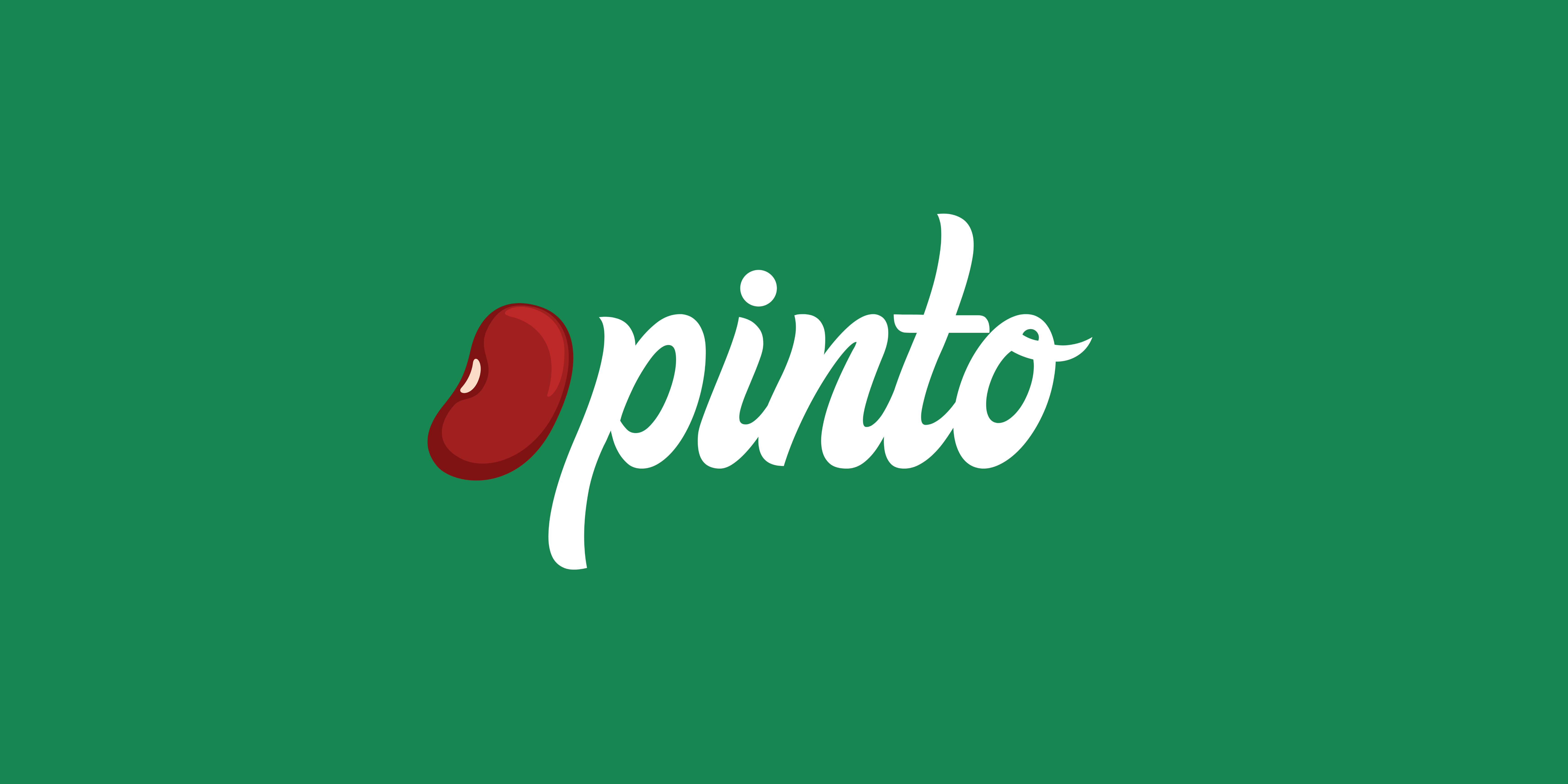 Founder of Pinto Robotics