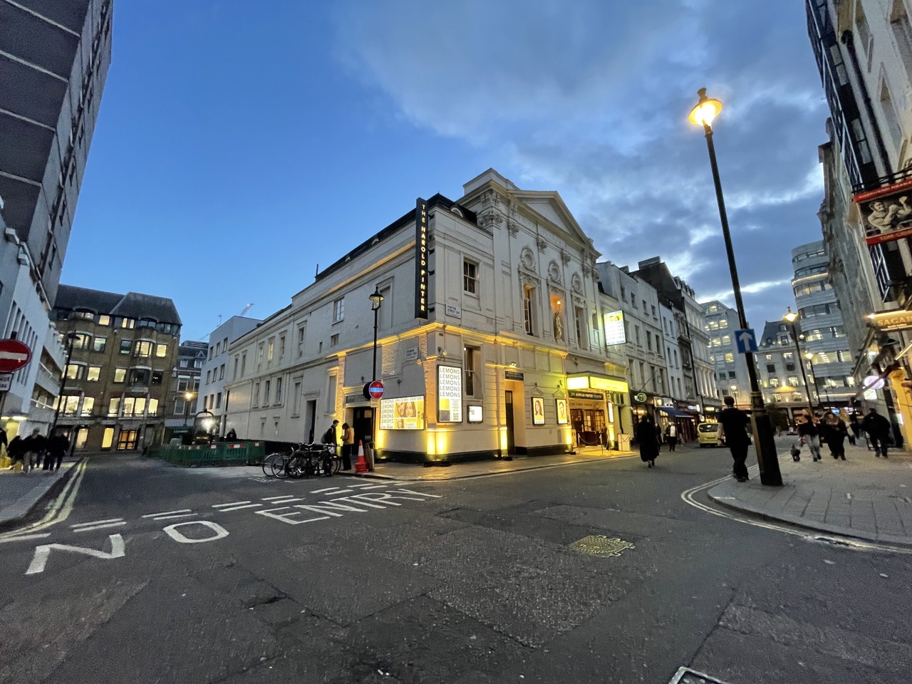 harold pinter theatre press night london