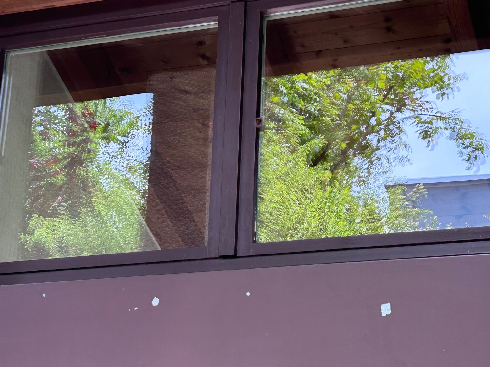 Bild eines sauberen Fensters