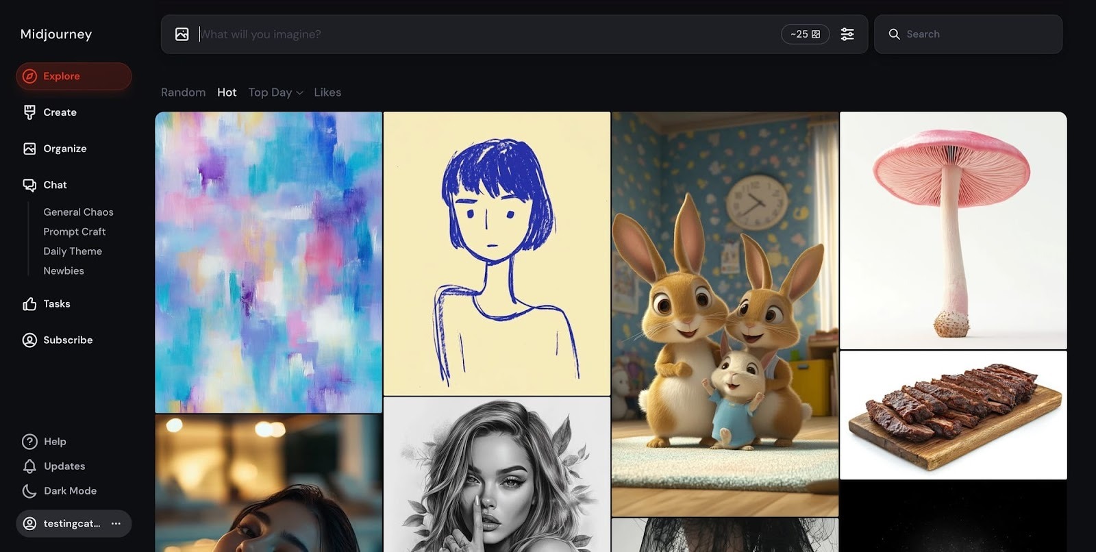 Midjourney Web Interface