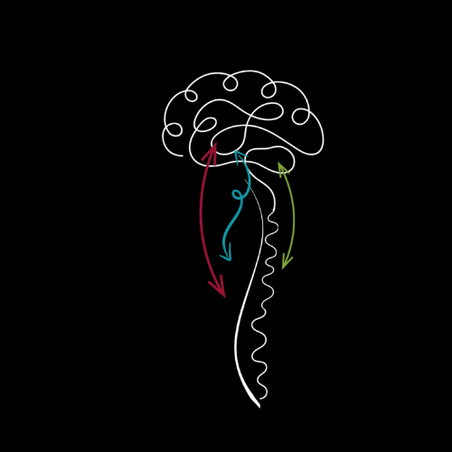brain with input coming from the body 