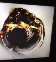 Inspection camera view showing a partially clogged sewer pipe with visible tree roots intruding through a crack or joint.